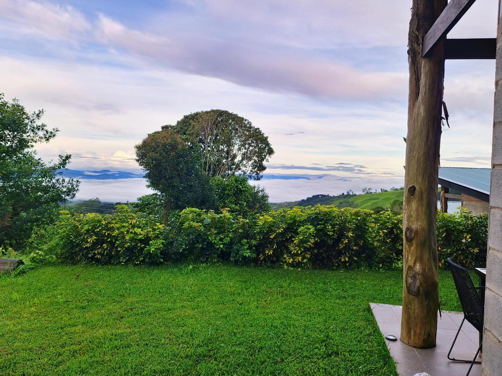 Espectacular Cabana Moderna De Montana + Bosque Nuboso +Wifi Zarcero Exterior foto